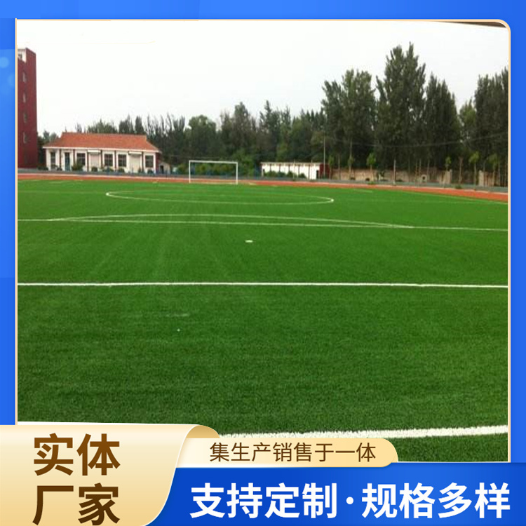 阜阳市塑胶地坪人造草坪 - 方案